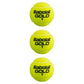 Babolat Gold Championship All Court Tennis Balls 24 Cans Case